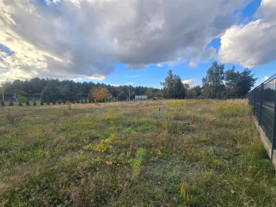 Zdjęcie 6