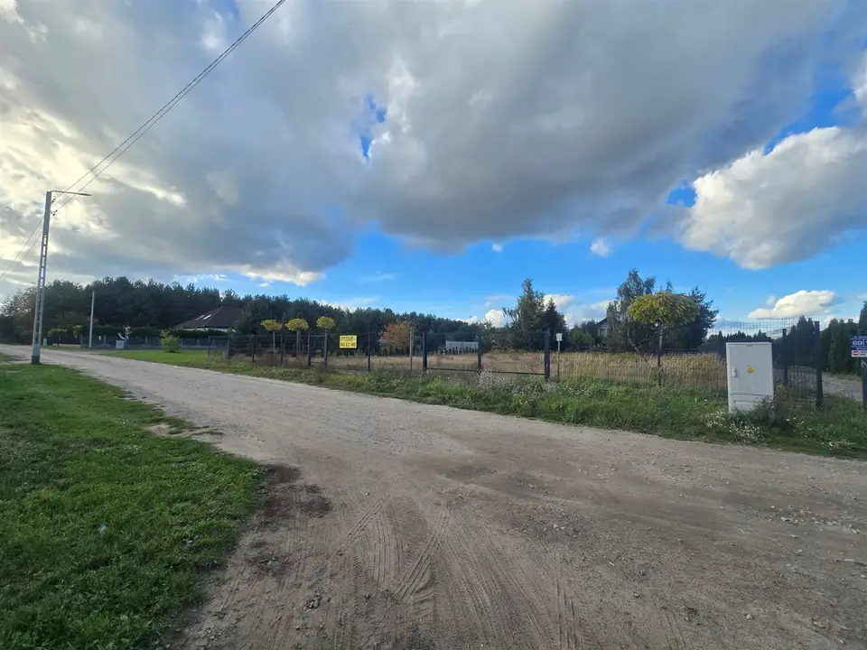 Zdjęcie 8