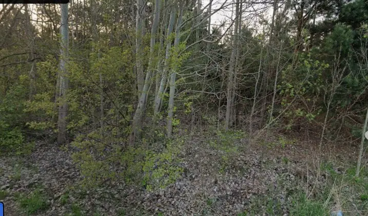 Zdjęcie 6