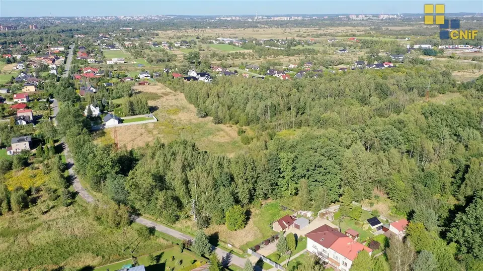 Zdjęcie 8
