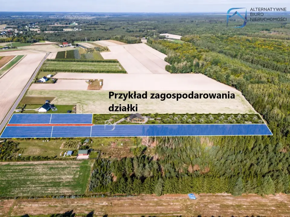 Zdjęcie 3