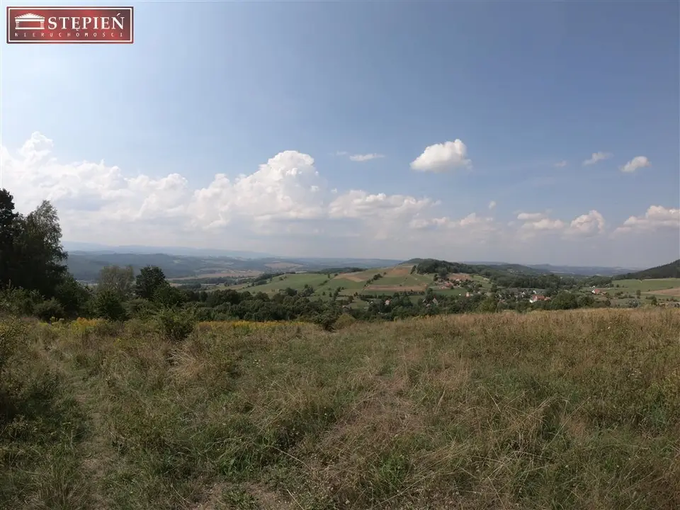 Zdjęcie 8