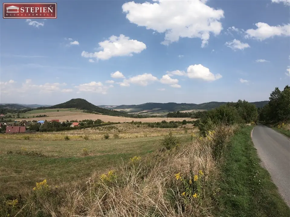Zdjęcie 12