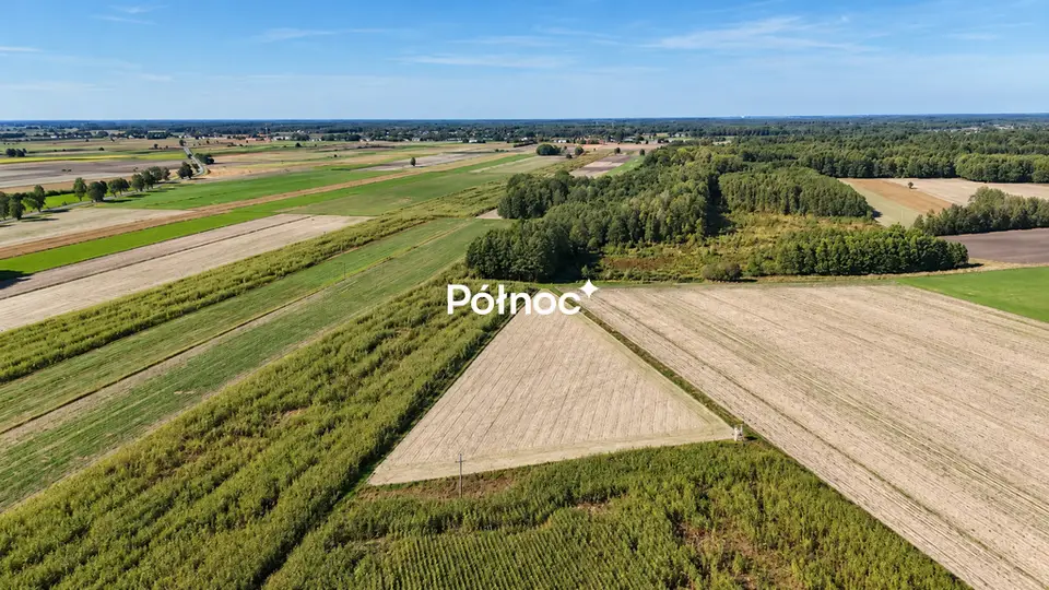 Zdjęcie 5