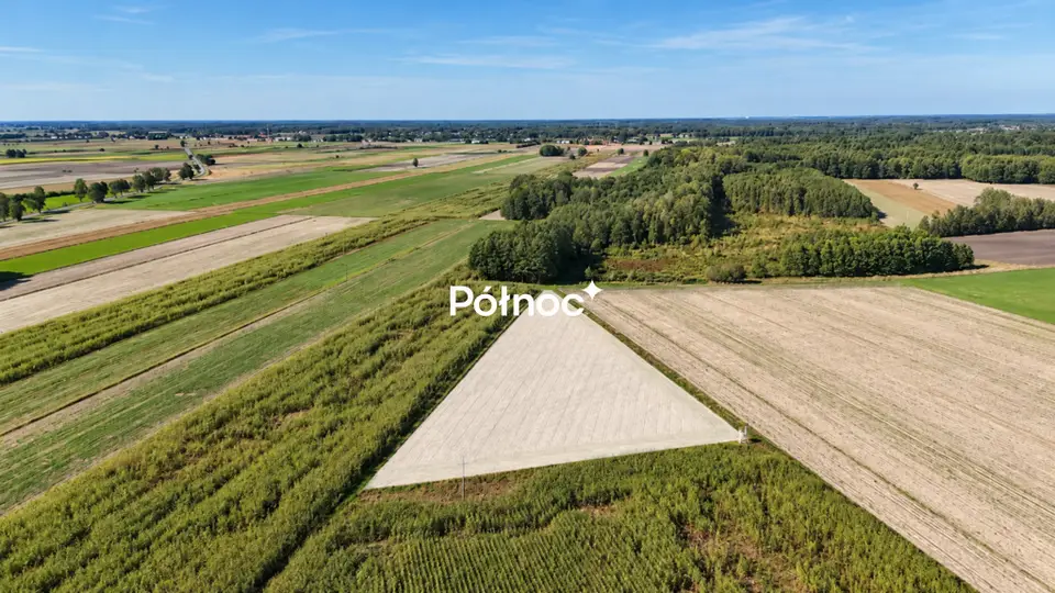 Zdjęcie 10