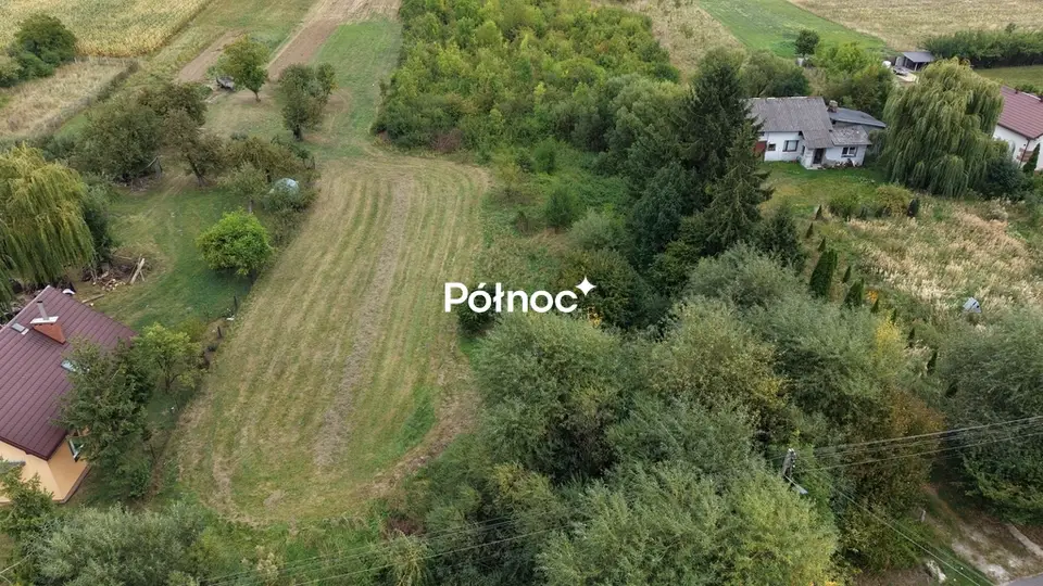 Zdjęcie 4