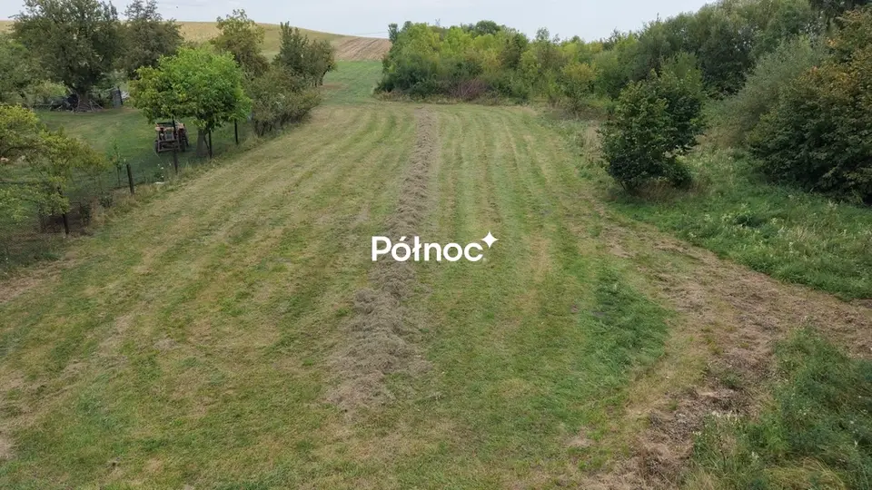 Zdjęcie 9