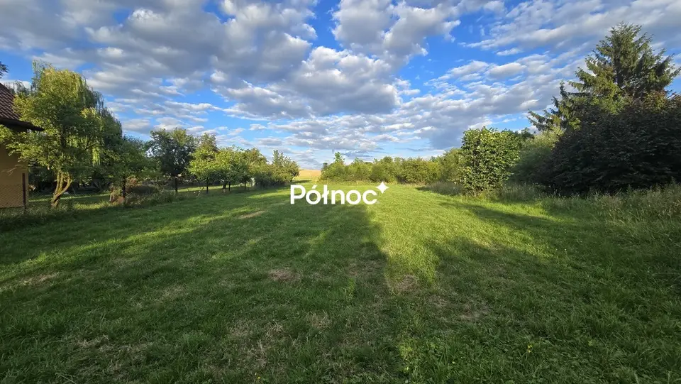 Zdjęcie 10