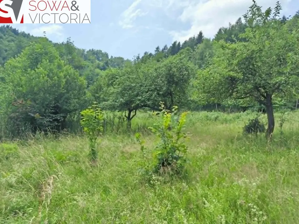 Zdjęcie 2