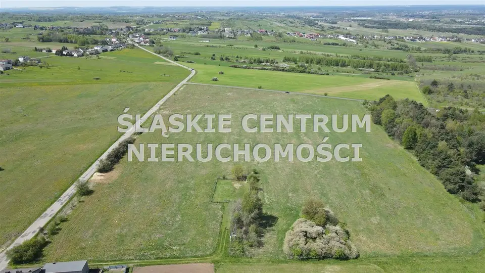 Zdjęcie 3