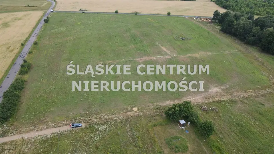 Zdjęcie 4