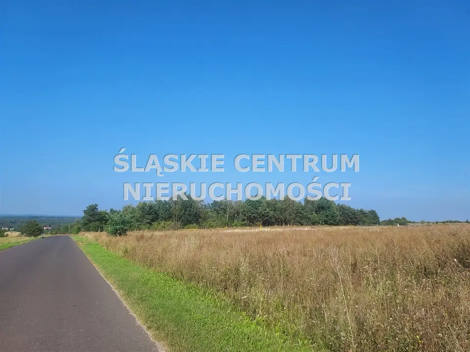 Zdjęcie 7