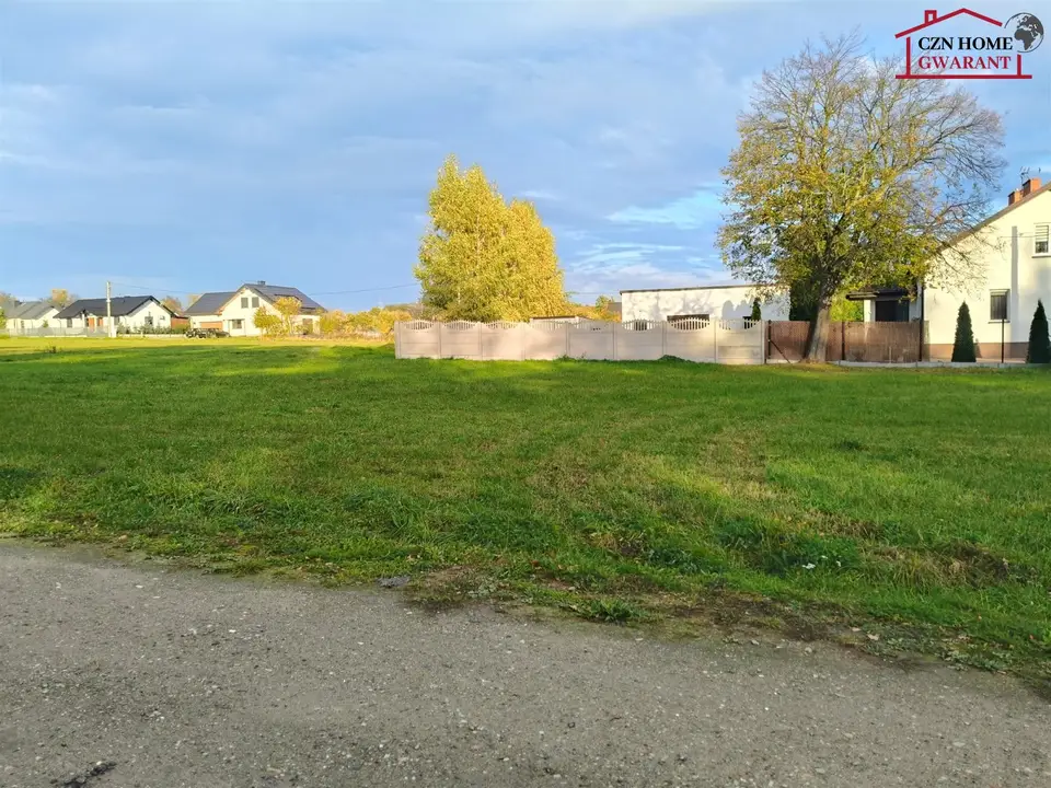 Zdjęcie 6
