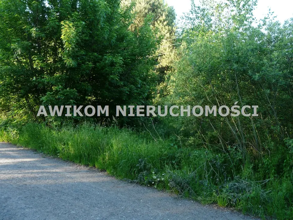 Działka siedliskowa, rekreacyjna i rolna 1,25 ha, Antoniew