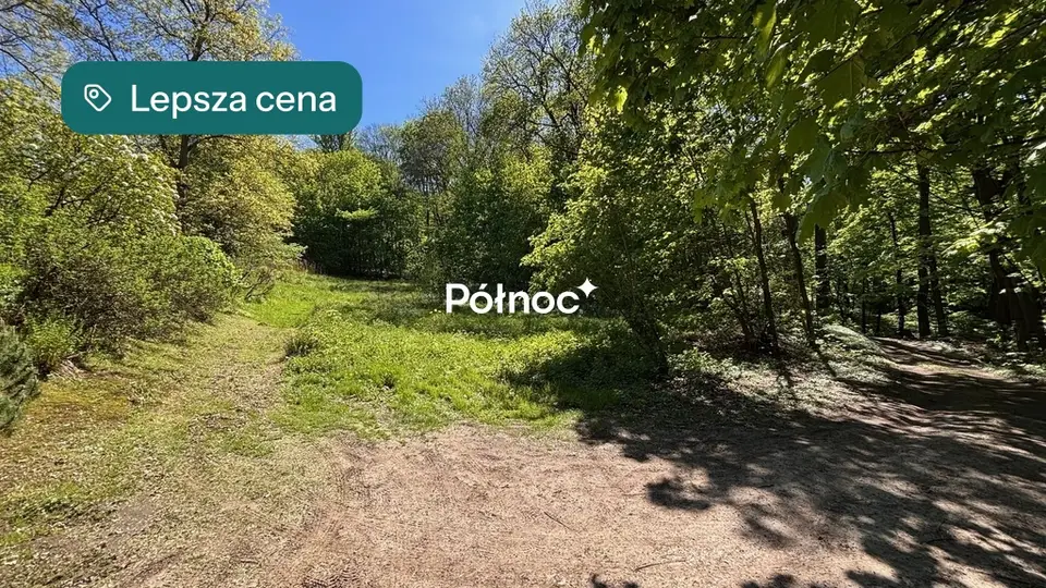 Zdjęcie 3