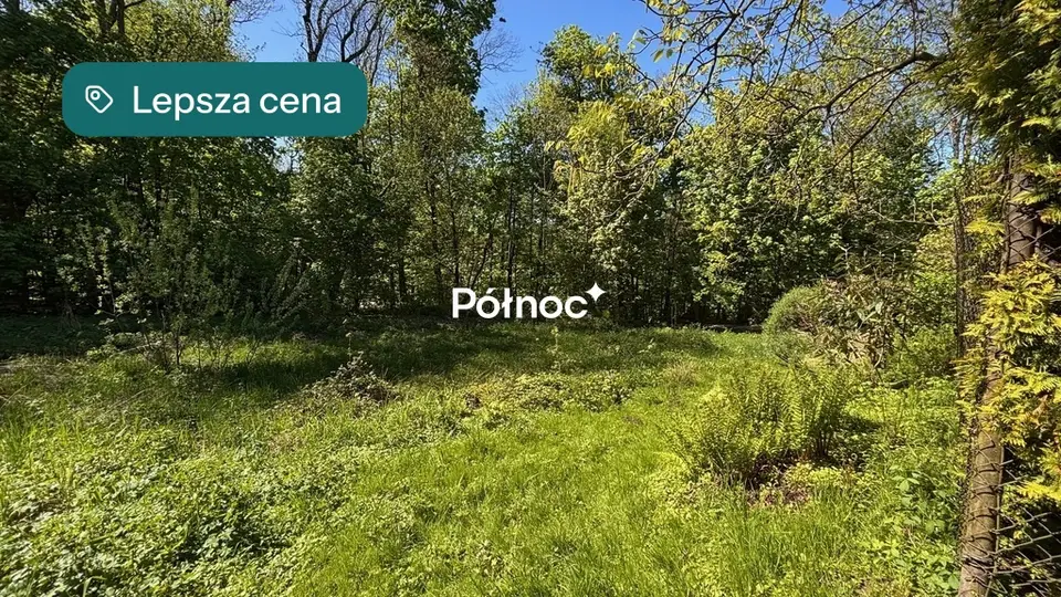 Zdjęcie 6
