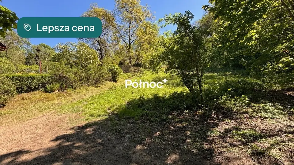 Zdjęcie 7