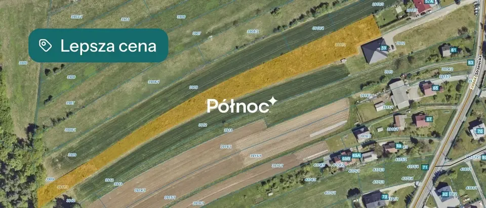 Zdjęcie 2