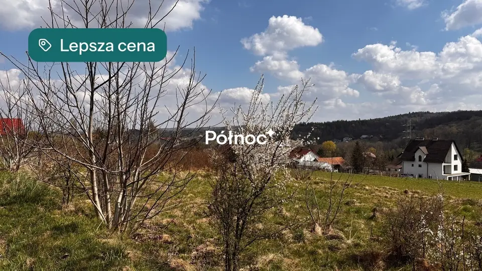 Zdjęcie 5
