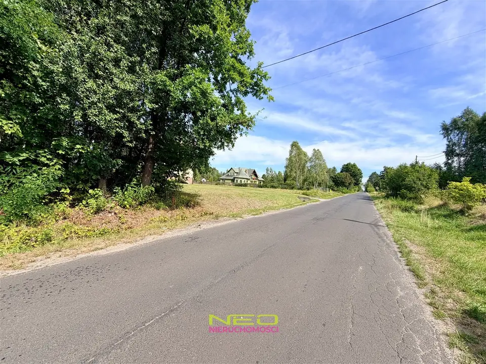 Zdjęcie 14