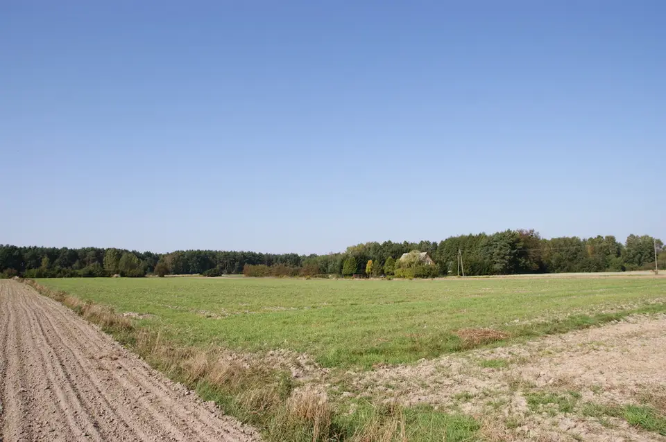 Zdjęcie 15