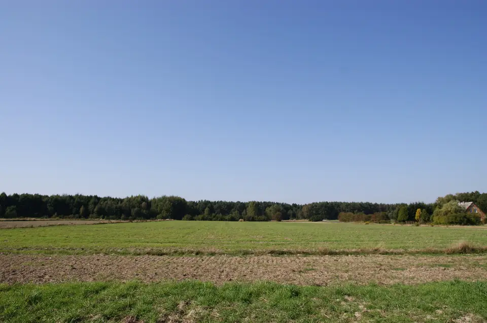 Zdjęcie 16