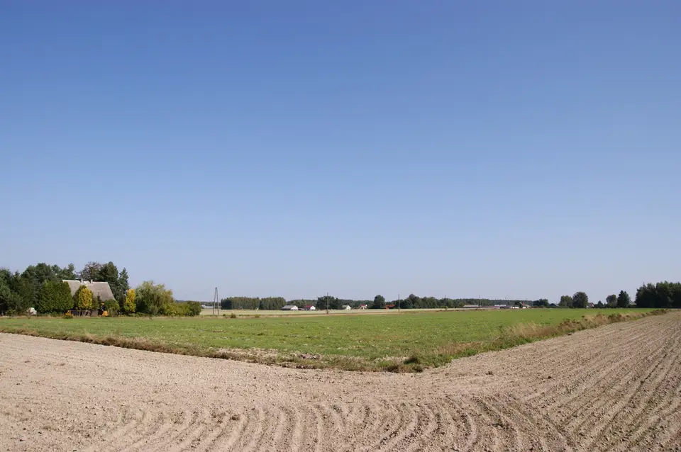 Zdjęcie 17