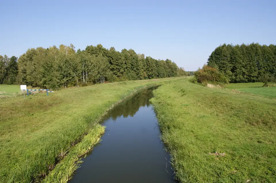 Zdjęcie 19