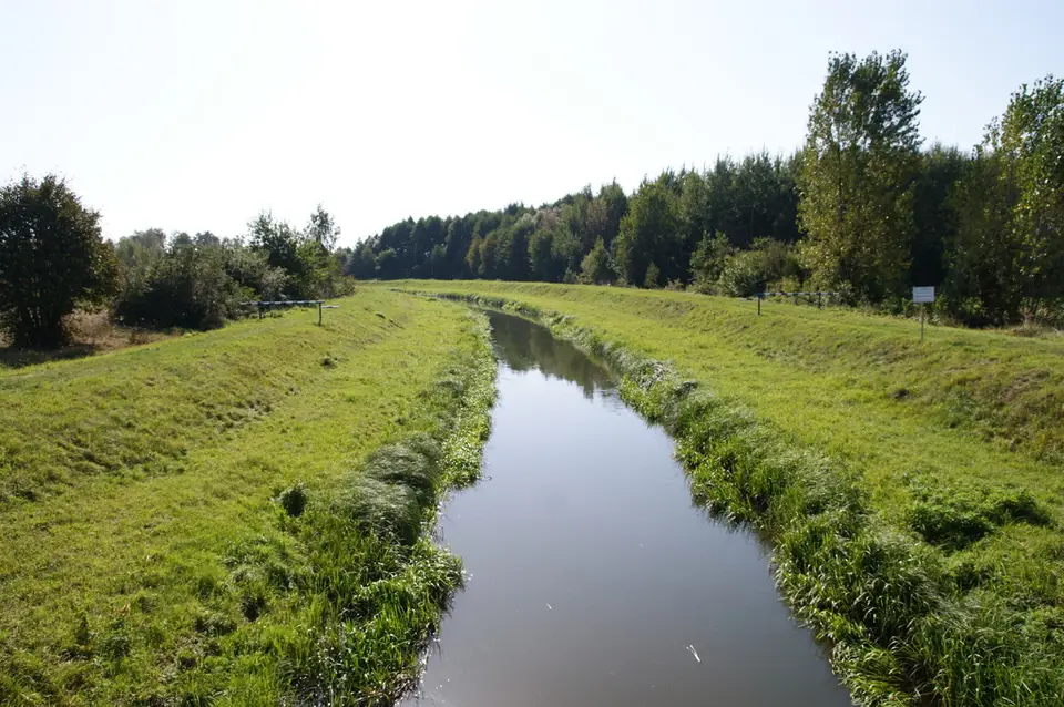 Zdjęcie 20