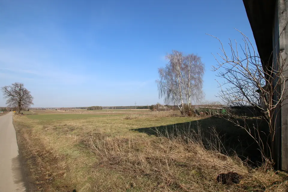 Zdjęcie 3