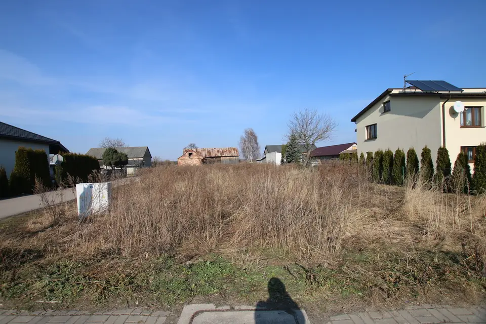 Zdjęcie 5