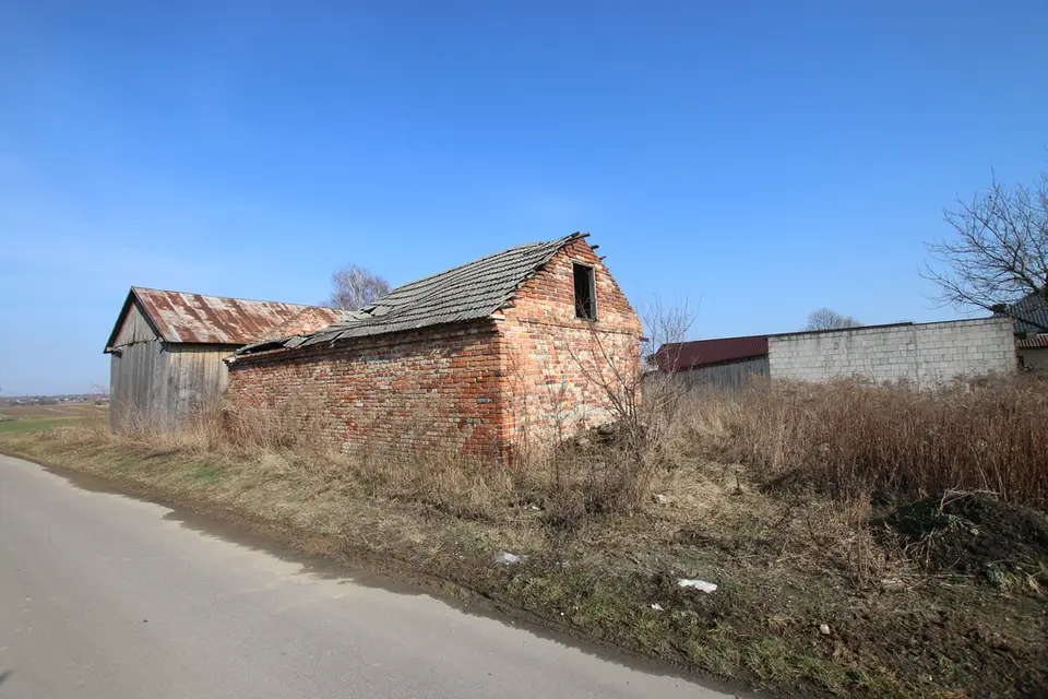 Zdjęcie 8