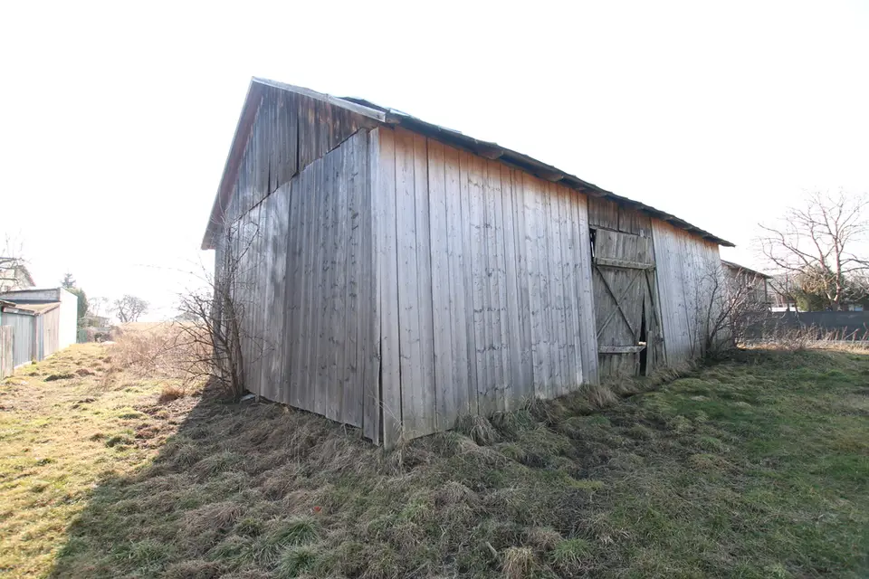 Zdjęcie 11