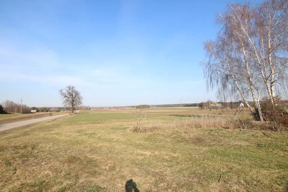 Zdjęcie 12