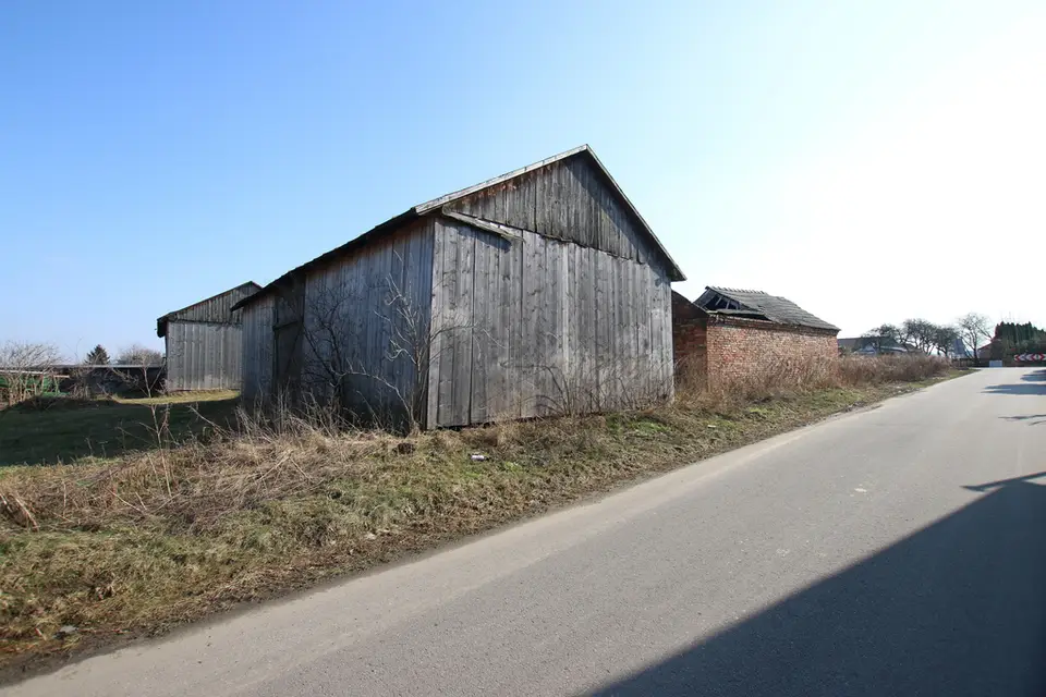 Zdjęcie 14
