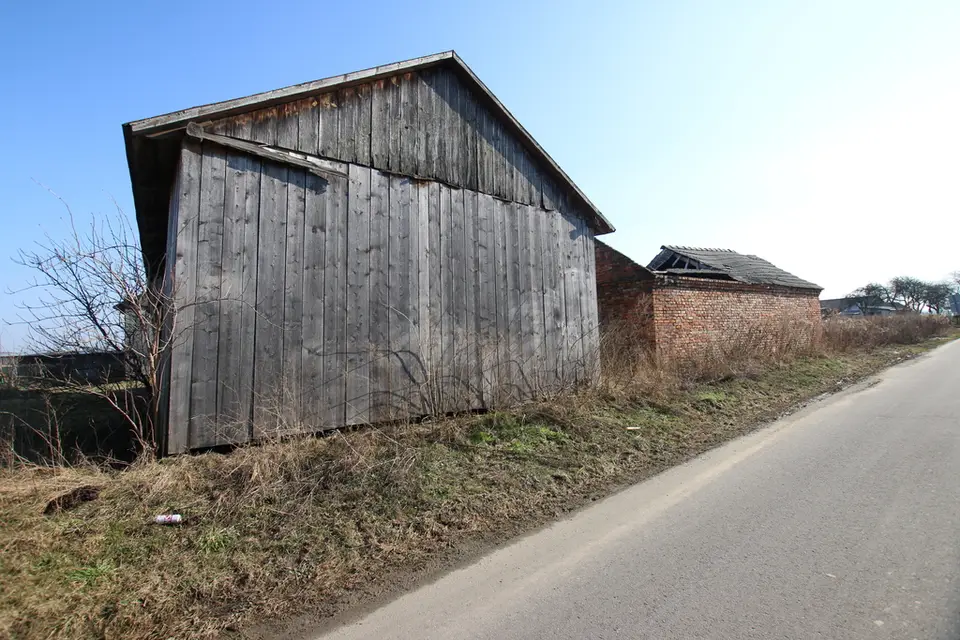 Zdjęcie 15