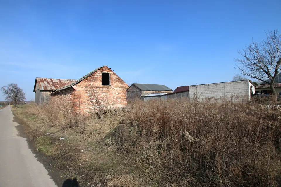 Zdjęcie 17
