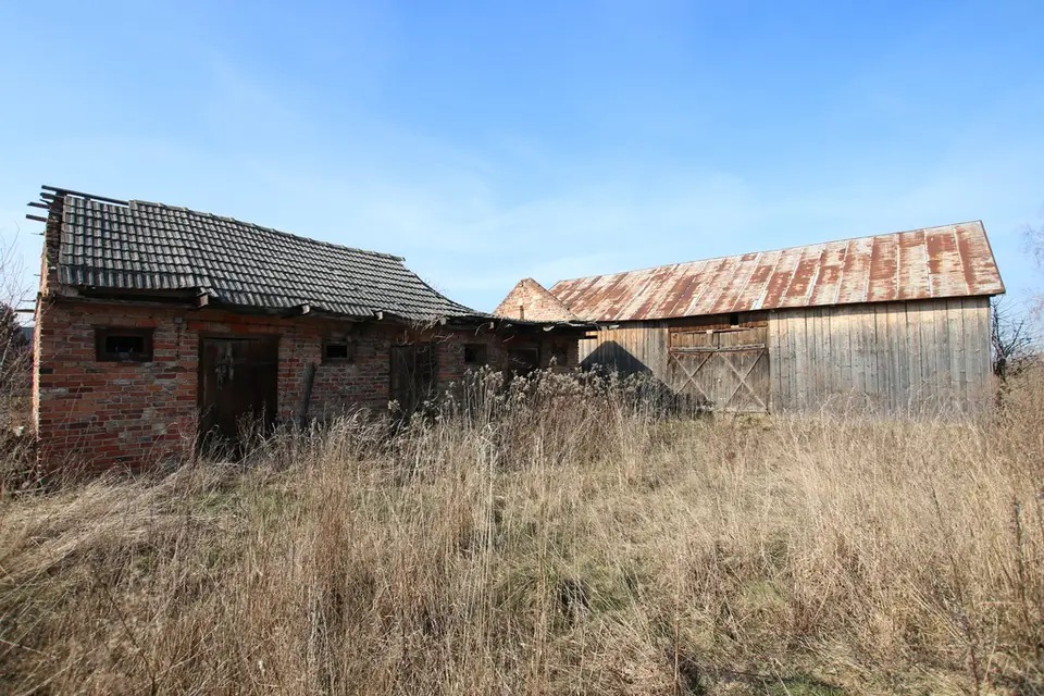 Zdjęcie 19
