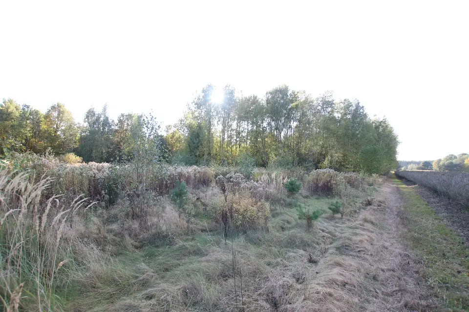 Zdjęcie 7