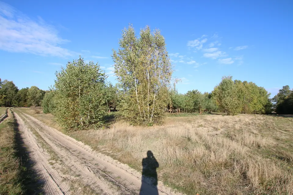 Zdjęcie 10