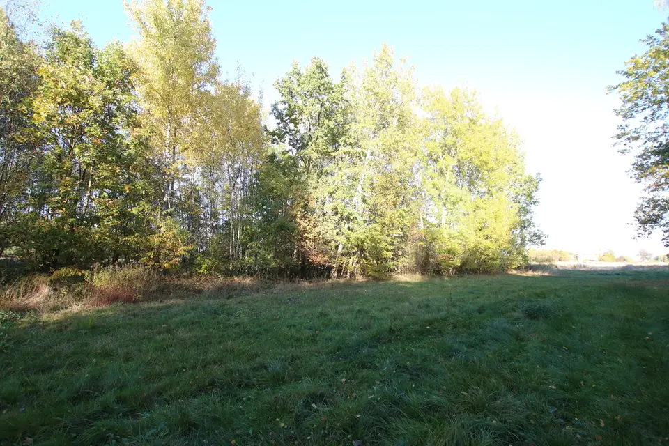Zdjęcie 14