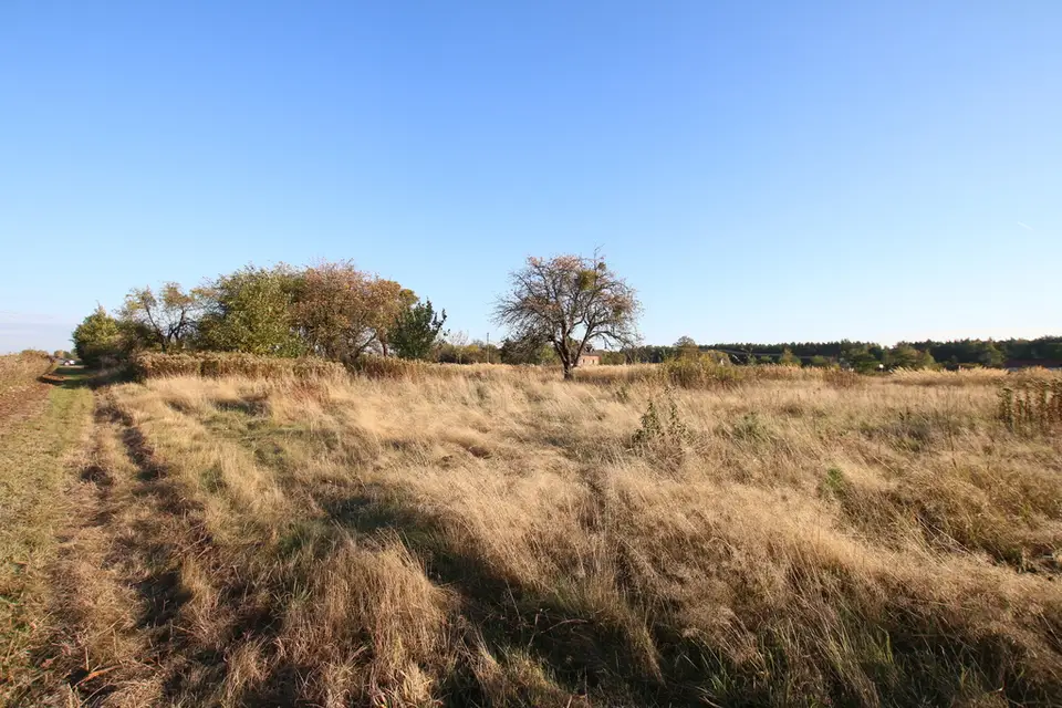 Zdjęcie 15