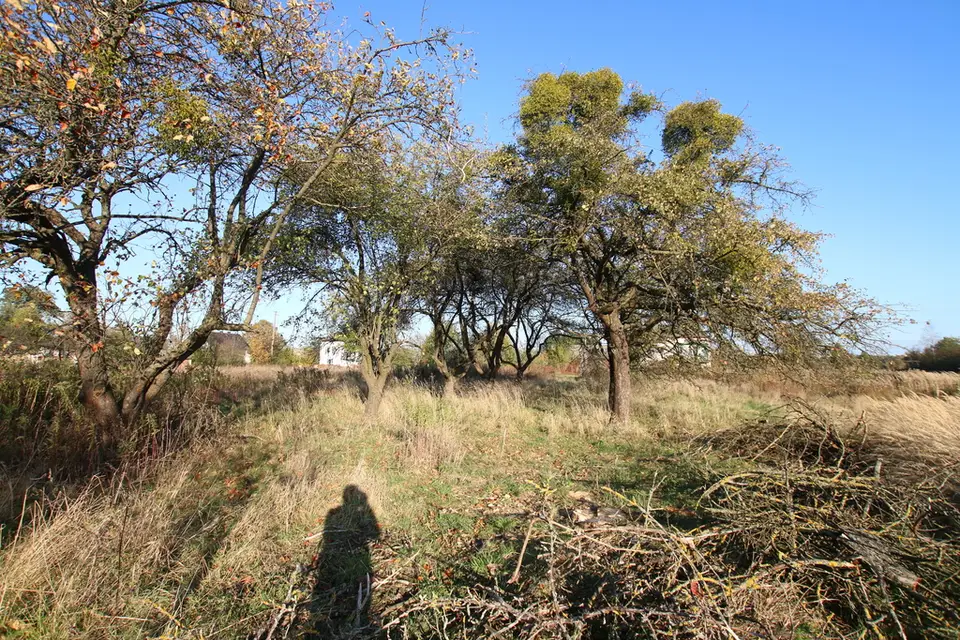Zdjęcie 16