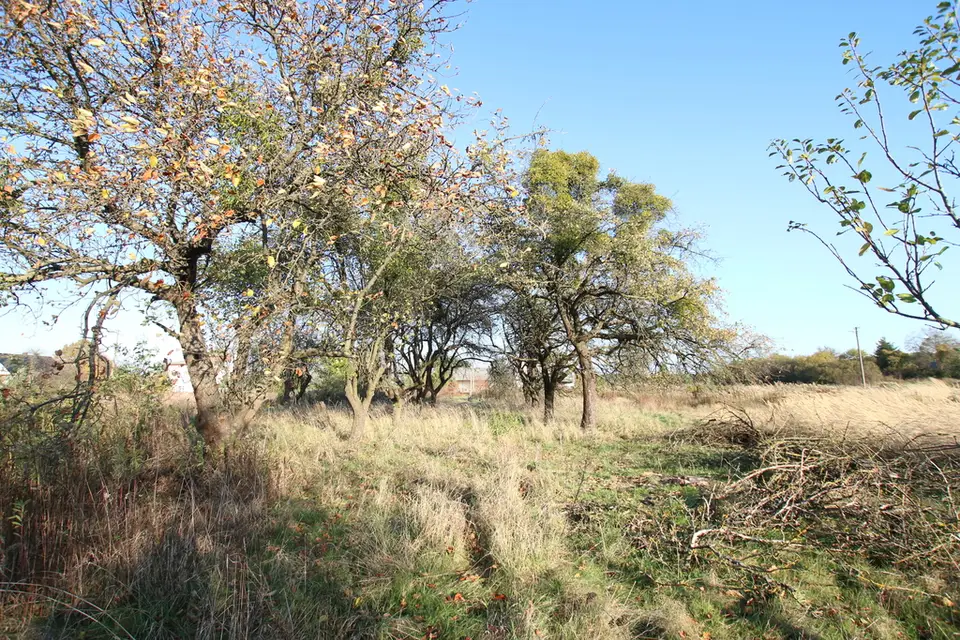 Zdjęcie 17