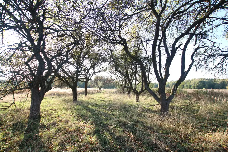 Zdjęcie 18