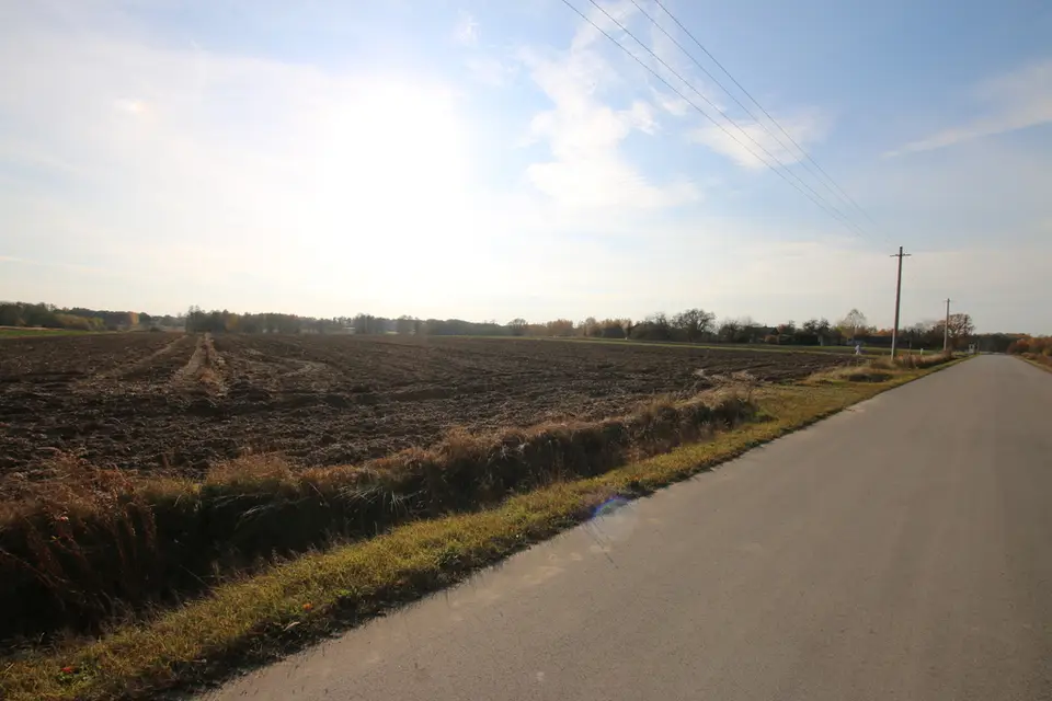 Zdjęcie 11