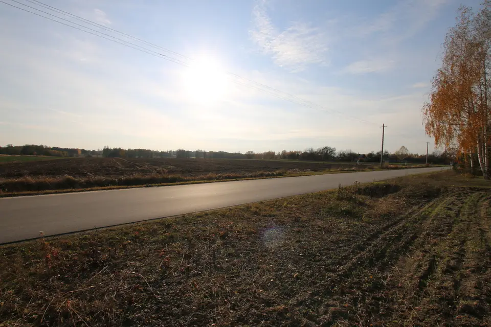 Zdjęcie 14
