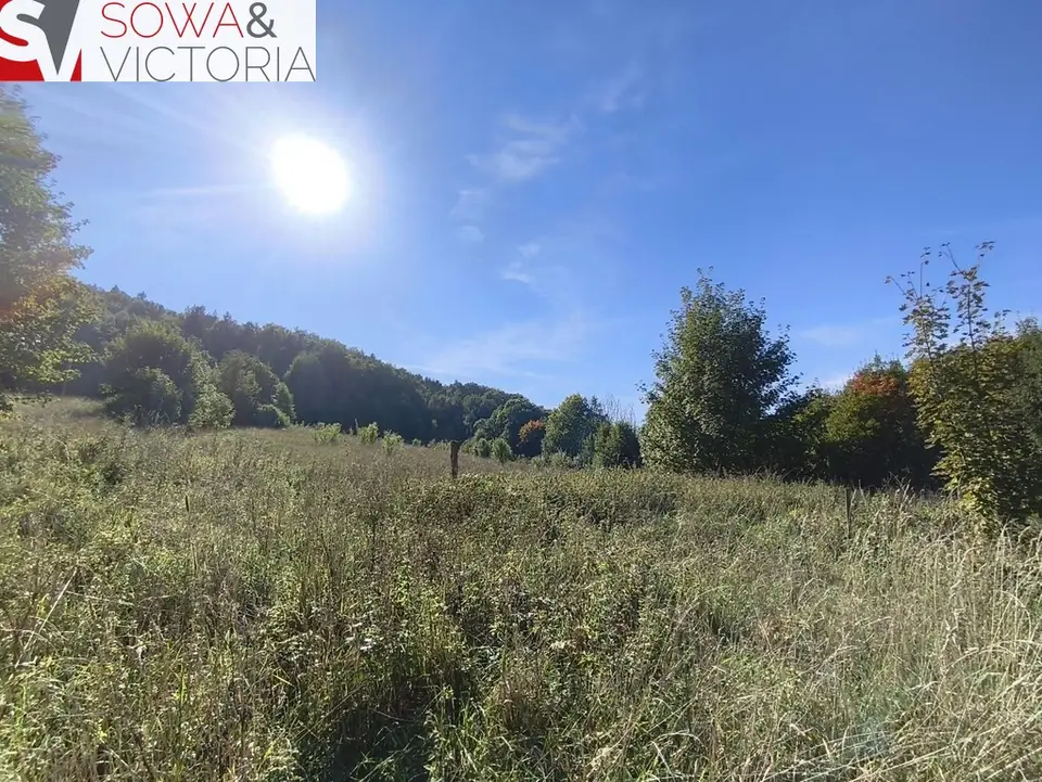 Działka rolna 1,42 ha, Stare Bogaczowice