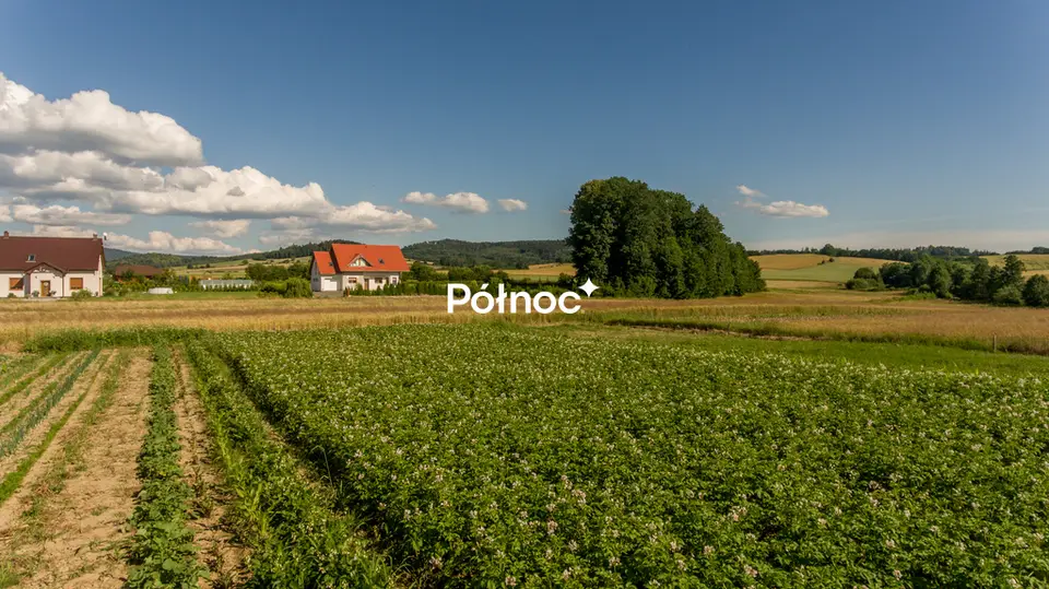 Zdjęcie 5