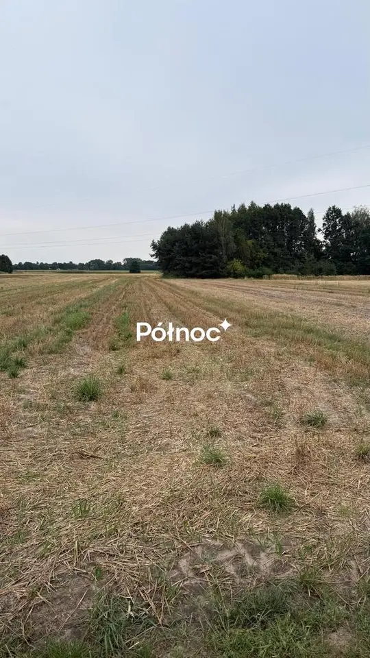 Zdjęcie 2
